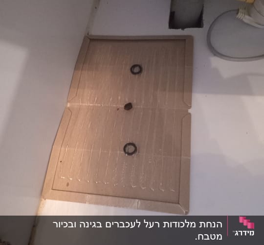 מלכודת דבק חומה עם חרקים מתחת לכיור